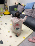 牧萌儿童雨衣男童女童防水全身雨披幼儿园小学生雨具 粉色草莓兔 S 实拍图