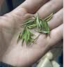 中婺春雨茶叶绿茶浙江茗茶白茶2026新茶嫩芽春茶手采茶叶中秋送长辈礼500g 实拍图