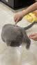 HELLOJOY宠物猫咪狗狗排梳猫梳子宠物去浮毛开结钢梳布偶长毛猫专用猫毛梳 实拍图