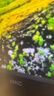HKC 27英寸2K高清235Hz FastIPS屏10bit硬件低蓝光HDR400电竞三角洲1ms游戏旋转升降显示器 战舰S7 实拍图