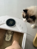 美的（Midea）泡脚桶电动按摩足浴盆加热恒温足疗按摩器洗脚盆熏泡按摩父亲节礼物生日送男女朋友实用ZL206 实拍图