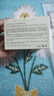 植物主义面膜小黄瓜补水保湿面膜用护肤品深层补水保湿涂抹面膜新老随机发 实拍图