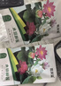花沃里水培碗莲种子30粒*2 花卉种子荷花家庭盆栽鱼缸碗莲阳台办公庭院 实拍图