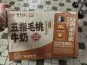 风行牛奶五指毛桃牛奶调制乳200ml*10盒 岭南植萃广东老字号 早餐奶 实拍图