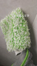 绿田（LUTIAN）汽车用品洗车水蜡雪崩上光洗车液清洁剂漆面玻璃清洁药剂 【全车擦洗】 483ml 1瓶 +洗车手套+收水巾 实拍图