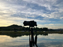 腾龙（Tamron）B070S 17-70mm F/2.8 Di III-A VC RXD防抖大光圈微单镜头风光人像旅行（索尼APS-C专用E口） 实拍图