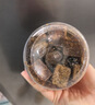 古方红糖 红糖姜茶 红糖块老姜母茶180g 月子大姨妈痛经期调理送女友 实拍图