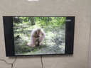 TCL雷鸟电视【价保618】 55英寸雀4 144Hz高刷 2+32GB 自定义遥控器 电视55F270C-JN 实拍图