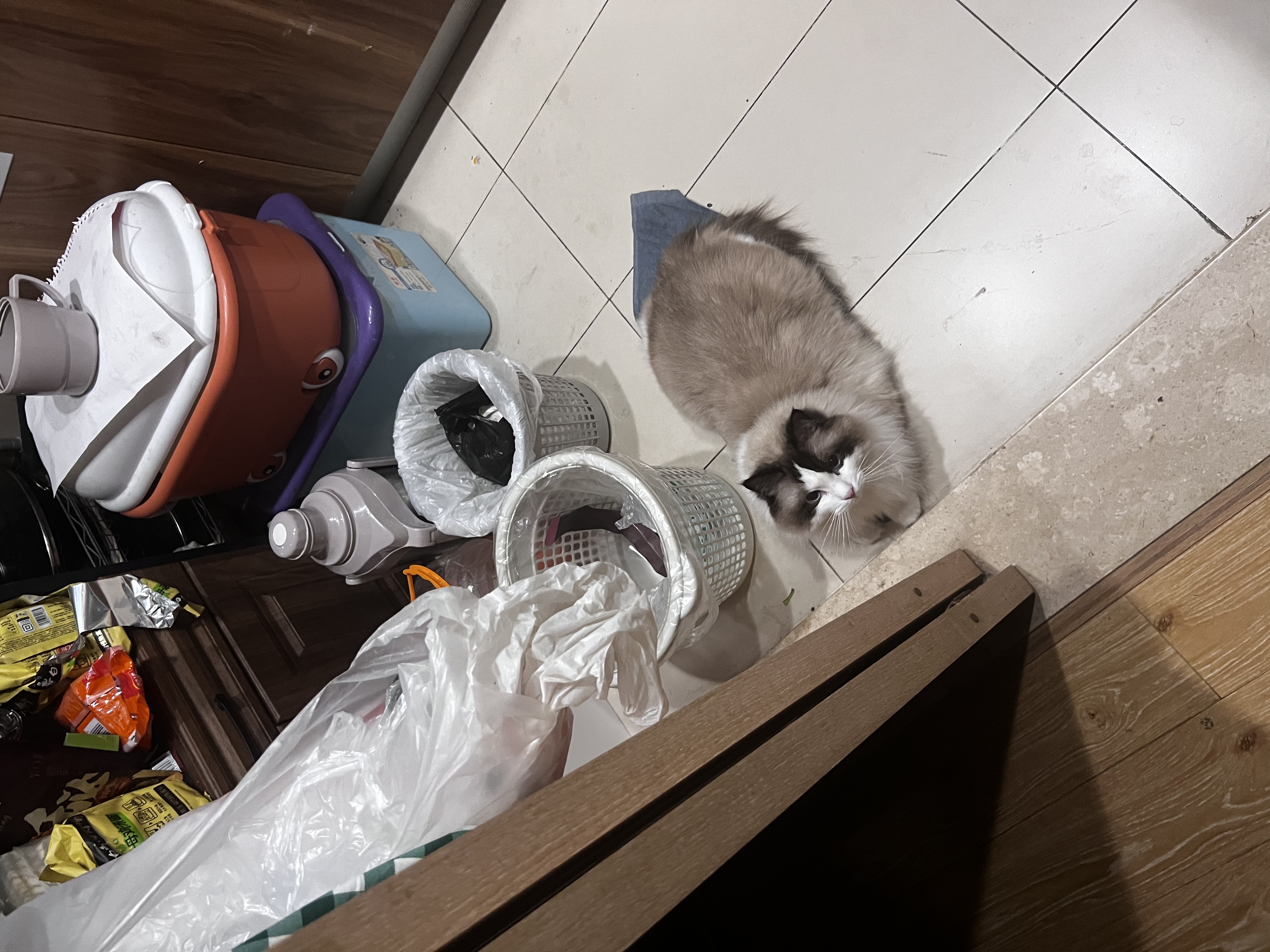 instinct百利高蛋白美毛鸡肉全猫粮10磅*2包+Stanley水杯礼物591ML粉白 实拍图