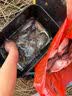 川泽子线双钩狼牙鱼钩竞技黑坑防缠绕鱼钩绑好套装钓鱼钩成品全套渔具 竞技狼牙【细条】钩5;线0.4-0.6 20付成品套装 实拍图