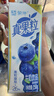 蒙牛真果粒蓝莓味牛奶饮品250g*12盒 礼盒新老包装 含乳饮料端午礼盒 实拍图