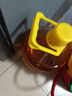 鲁花 食用油 物理压榨 葵花仁油6.18L  实拍图