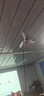 松下（Panasonic）PT-WX3401投影仪办公室白天会议专用 投影机家用家庭影院 会议商用 （3400高流明 3LCD ） 实拍图