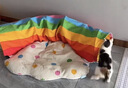 ZEZE彩虹猫隧道四季通用猫窝隧道可拆洗玩耍休息一体猫咪躲避屋 实拍图
