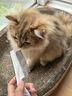 红狗 营养膏10g 宠物狗狗猫咪幼犬营养膏微量元素维生素 实拍图
