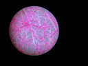 科学罐头（Science  can）六一儿童节礼物显微镜生日学生便携男女孩6-12岁益智玩具户外礼盒 实拍图