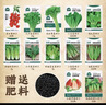 北蔬毛豆种子苗粒大鲜食大荚青黄豆菜豆四季种籽 淮鲜豆7号种子500g 实拍图