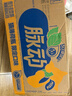 脉动猫薄荷限定瓶600ML*15瓶低糖维C电解质水功能做运动饮料整箱装 实拍图