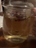 物生物（RELEA）玻璃杯男女士茶水分离杯耐高温办公泡茶杯带把高硼硅水杯花茶杯子 实拍图