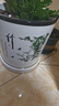 裕轩堂纯白色新款陶瓷花盆室内简约个性带托盘绿萝吊兰蝴蝶兰多肉盆桌面 6009084黑边 特大号口径约22厘米 实拍图