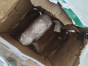 天湖纯麦啤酒鲜活纯麦 自然新鲜450ml*12瓶辽宁特产啤酒京东自营整箱 实拍图