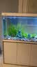 森森（SUNSUN）大型鱼缸底过滤水族箱客厅家用落地玻璃生态金鱼缸 【实时温显+灯控】珍珠白 1.2米长35cm宽 实拍图
