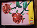 乐高（LEGO）积木40460 玫瑰永生花男女孩儿童玩具生日礼物家居装饰摆件 实拍图