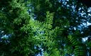 腾龙（Tamron）A063 28-75mm F/2.8 G2风光人像视频直播 腾龙28-75二代 全画幅微单相机镜头 28 75 索尼FE卡口 官方标配【送腾龙UV镜+腾龙偏振镜+清洁套装】 实拍图