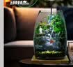 丘辰苔藓微景观养鱼生态瓶diy办公室内桌面绿植摆件花卉盆栽生日礼物 翠微2025款-店长推荐 实拍图
