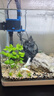 森森（SUNSUN）鱼缸过滤器循环水泵三合一抽水泵水族箱过滤制氧 底吸吸便】6W 增氧流量可调 适合0.6m以下缸 实拍图