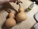 天然葫芦文玩带龙头手捻把玩小精品野生葫芦迷你家居客厅摆件 2个精品级【4-6厘米龙头葫芦】 实拍图