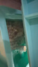 派乐特 鱼缸中空石英球过滤材料细菌屋硝化培菌球桶龟缸生化石水族箱 实拍图