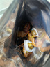 三只松鼠多味鹌鹑蛋300g 盐焗卤蛋铁蛋虎皮蛋休闲零食小吃独立小包 实拍图