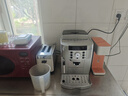 德龙（Delonghi）全自动意式咖啡机 欧洲原装进口 家用小型现磨豆粉两用 自动奶泡系统 ECAM22.110SB 银色 实拍图
