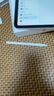 Apple/苹果 Pencil(USB-C) 磁吸触控笔手写笔苹果笔电容笔iPad笔 适用iPad 11/mini/Pro/Air 实拍图