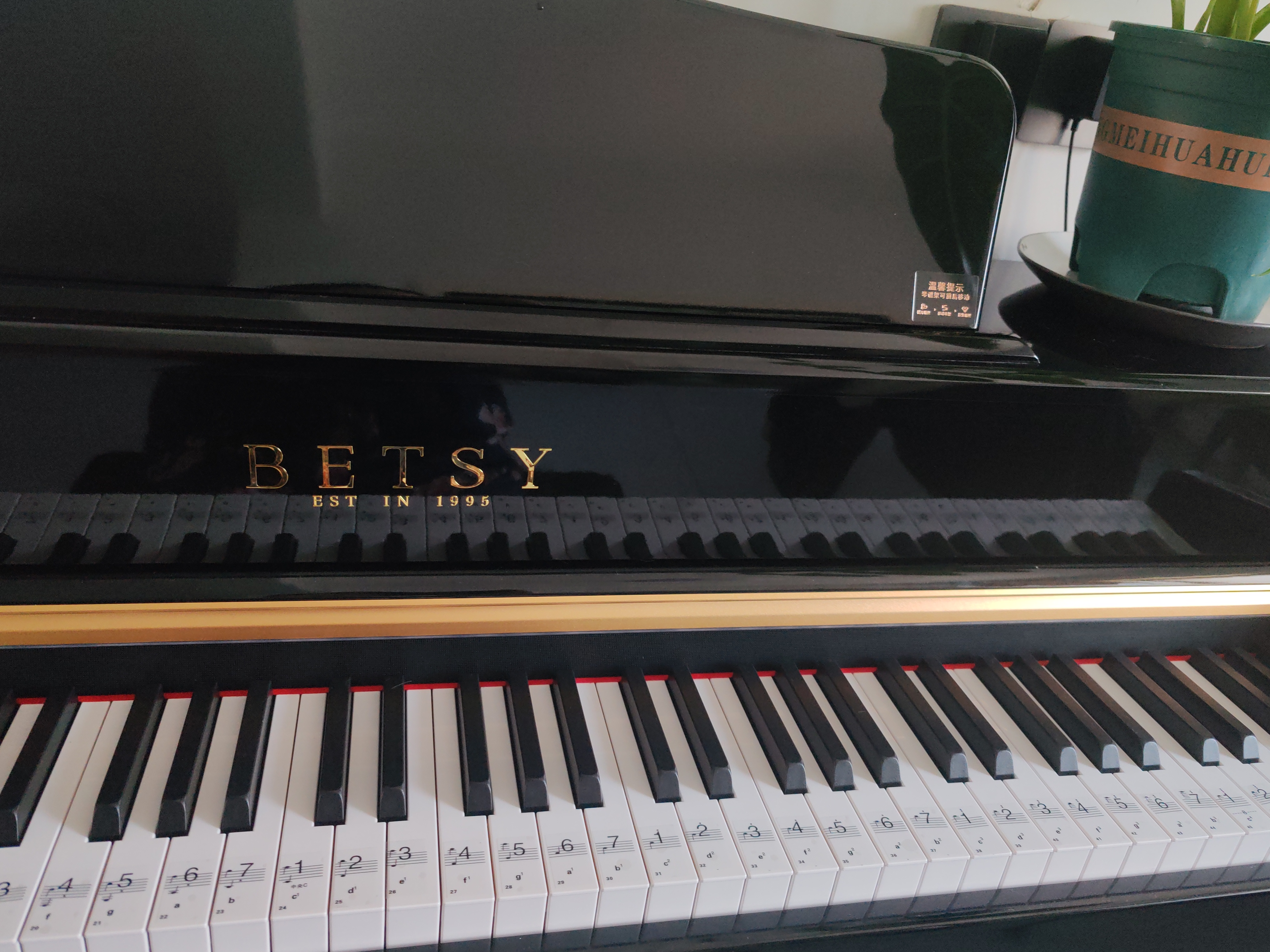 贝琪（Betsy）B321立式电钢琴重锤88键实木琴键成人专业初学者电子钢琴家用 殿堂级-B321实木键款-烤漆黑 实拍图