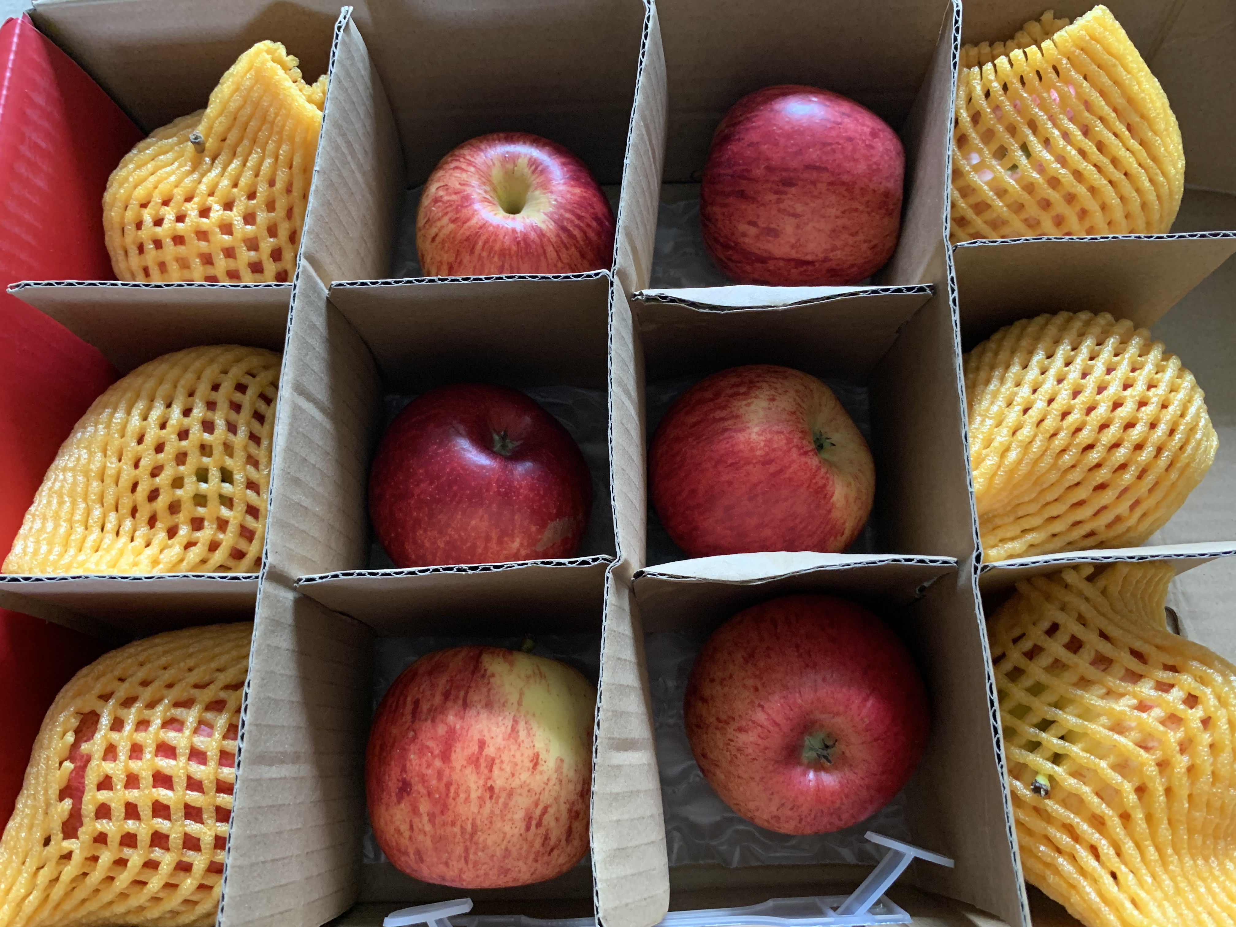 苹果先生Mr Apple 新西兰加力果苹果12粒礼盒装 单果150g起 源头直发 实拍图