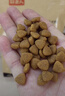 好主人金毛拉布拉多幼犬专用狗粮全价中大型犬专用粮2.5kg/5斤 实拍图