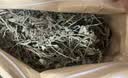 半山农车前草500g 新鲜中药材原料 车轮菜牛舌草可搭土茯苓玉米须泡水喝 实拍图