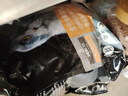 亿迪  猫粮全价成猫幼猫国产蓝猫布偶流浪猫全阶段20斤 实拍图