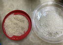 禾泱泱稻鸭原生有机胚芽米500g 独立真空包装主食米粥营养早餐自制辅食 实拍图
