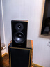 丹拿（DYNAUDIO）意境系列 Emit 20 HiFi无源书架音响发烧音箱 木质 2.0声道 胡桃木 一对3c数码全网低价 实拍图