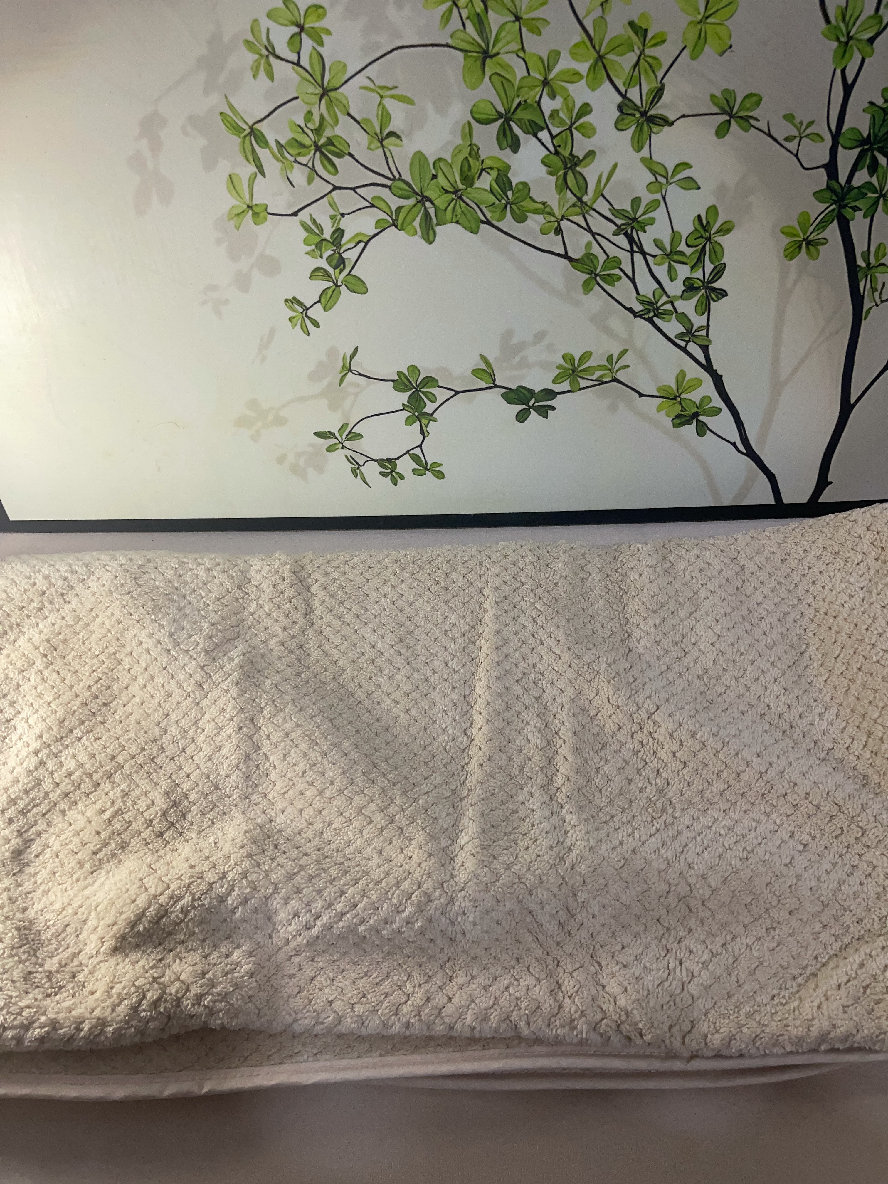 三利浴巾10A抗菌男女洗澡专用吸水速干不易掉毛大人运动 咖 50×100cm 实拍图