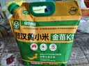拾兄弟敖汉黄小米内蒙赤峰农家自产5斤当季新米新鲜五谷杂粮月子小米粥 【绿色食品认证】金苗K1黄小米5斤*1袋 内蒙古赤峰敖汉旗小米之乡 实拍图