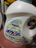 活力28山茶花洗衣液28.8斤（3.6kg*4瓶）持久留香整箱员工福利官方正品 实拍图