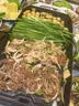 小熊（Bear）烤肉锅电烤盘 家用电烧烤炉 电烤炉多功能锅烤串烤肉一体不沾烤串机可拆烧烤炉DKL-H21P1 实拍图