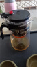 飘逸壶泡茶壶耐热高温玻璃沏茶过滤内胆冲茶器家用茶具套装 飘逸杯500mL1个 实拍图