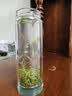 柴火大院 生态胚芽米2.5kg 东北大米5斤 2.5kg*1袋 实拍图