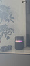 小米（MI）Xiaomi Sound Pro 小爱同学 音箱 智能音响 7单元旗舰声学｜40W震撼低音 高保真 家用 礼物 实拍图