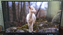 泰坦军团27英寸QD-MiniLED 4K 160Hz双模320Hz DyDs0.5ms Type-C65W 内置音箱电竞显示器P275MV PLUS增强版 实拍图